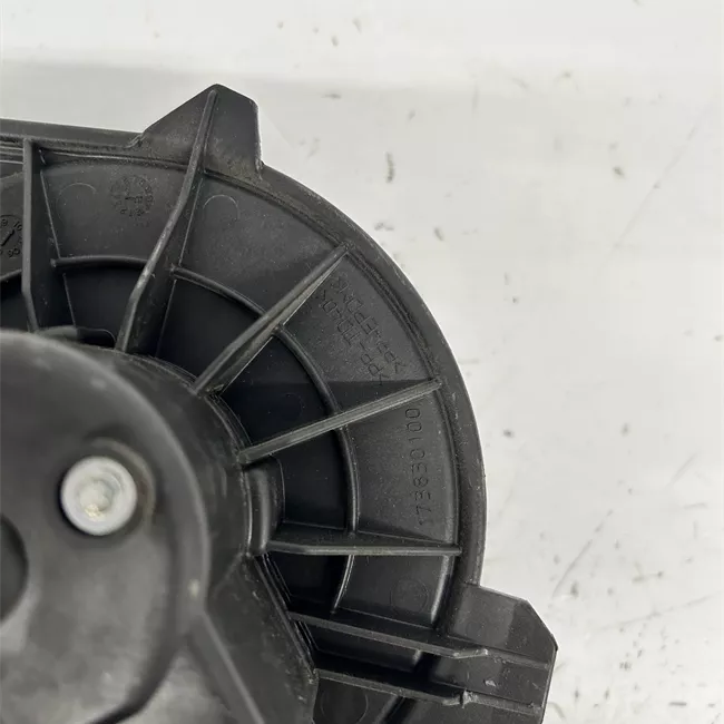 Motorino ventilazione abitacolo