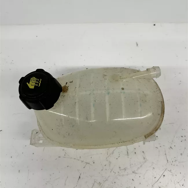 Vaschetta compensazione radiatore con tappo