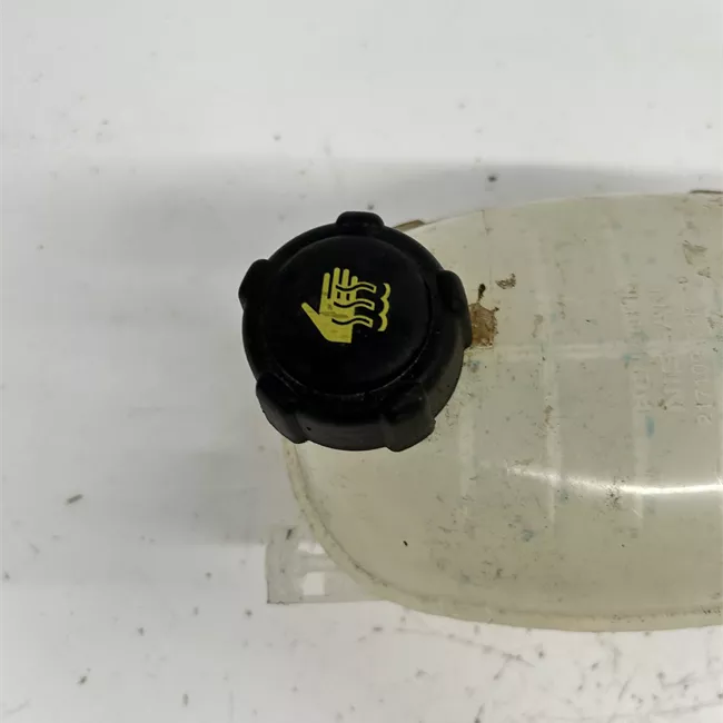 Vaschetta compensazione radiatore con tappo