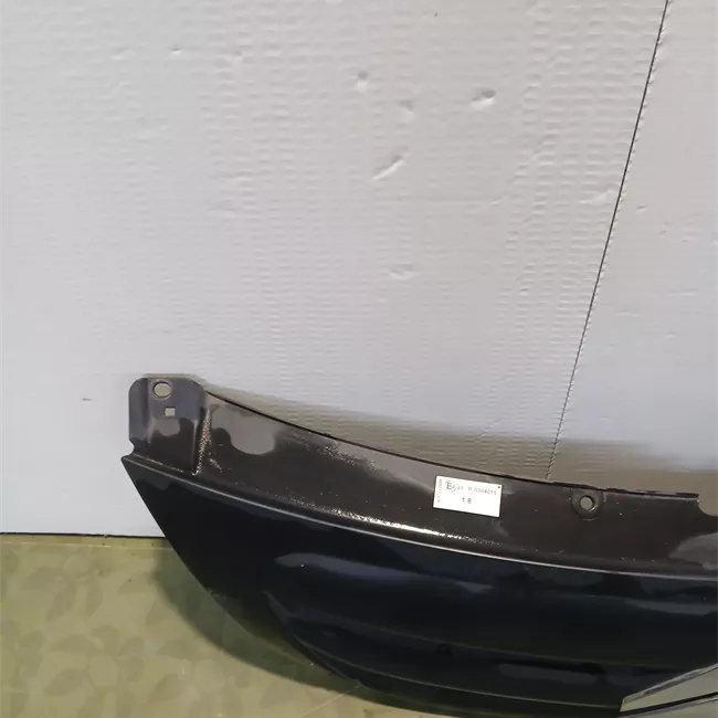 Griglia con stemma Verniciato