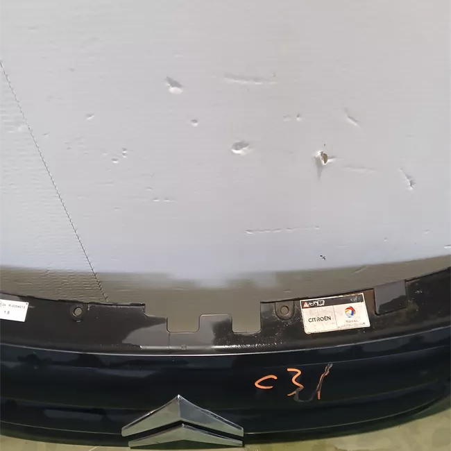 Griglia con stemma Verniciato