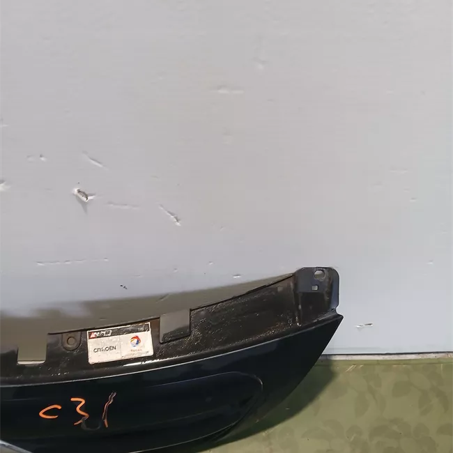 Griglia con stemma Verniciato