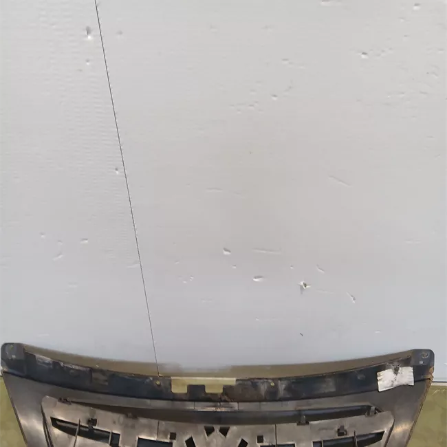 Griglia con stemma Verniciato