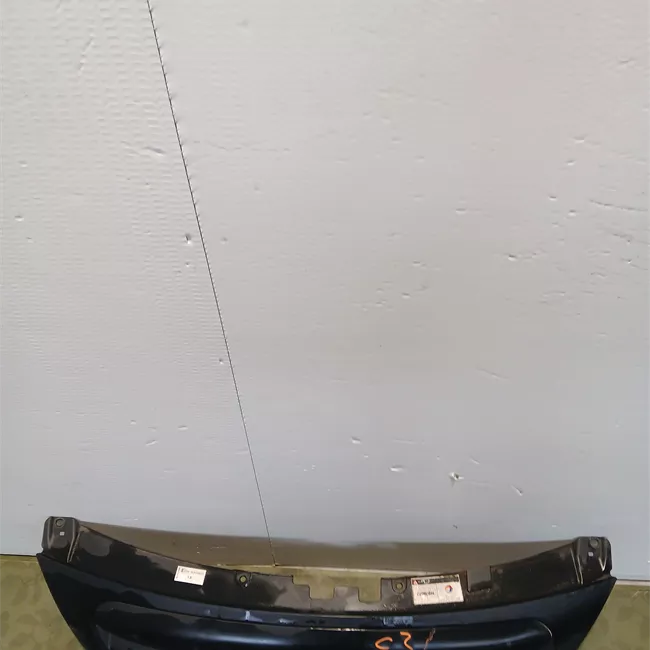 Griglia con stemma Verniciato