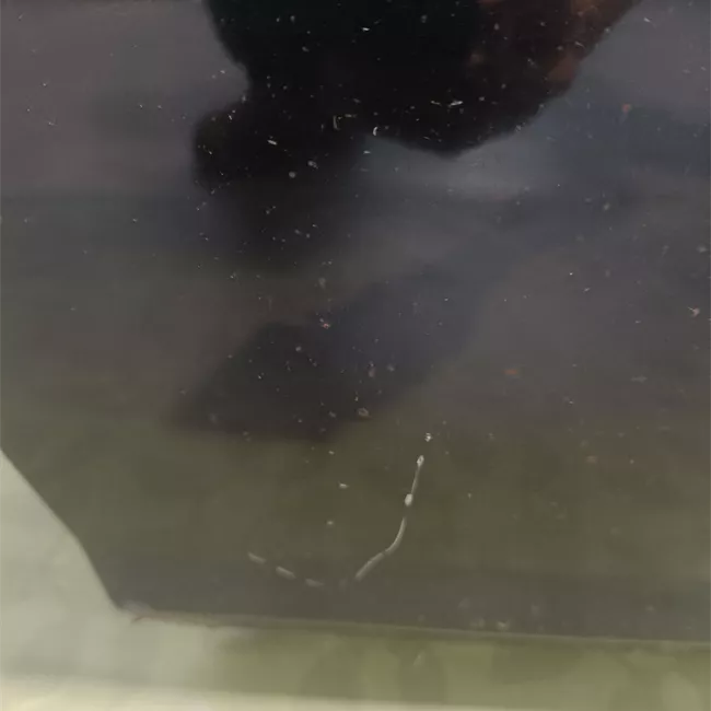 Porta anteriore sinistra