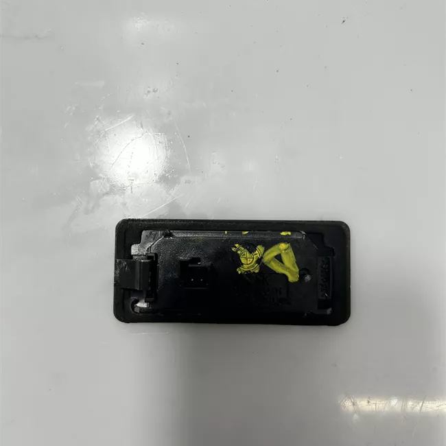 Fanalino targa destro Led