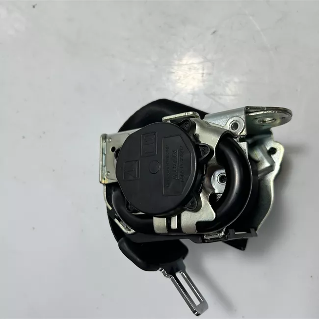 Cintura di sicurezza posteriore destra