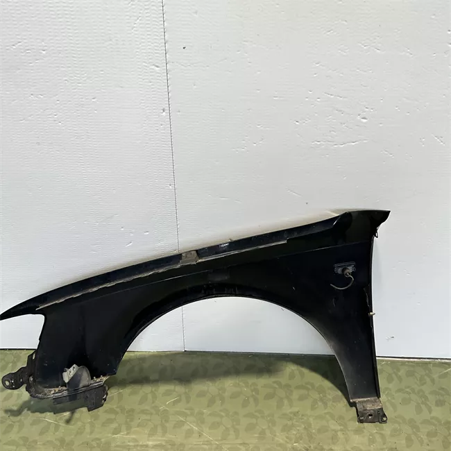 Parafango anteriore sinistro