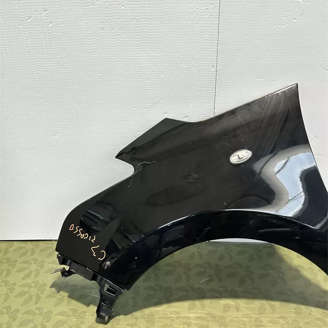 Parafango anteriore sinistro