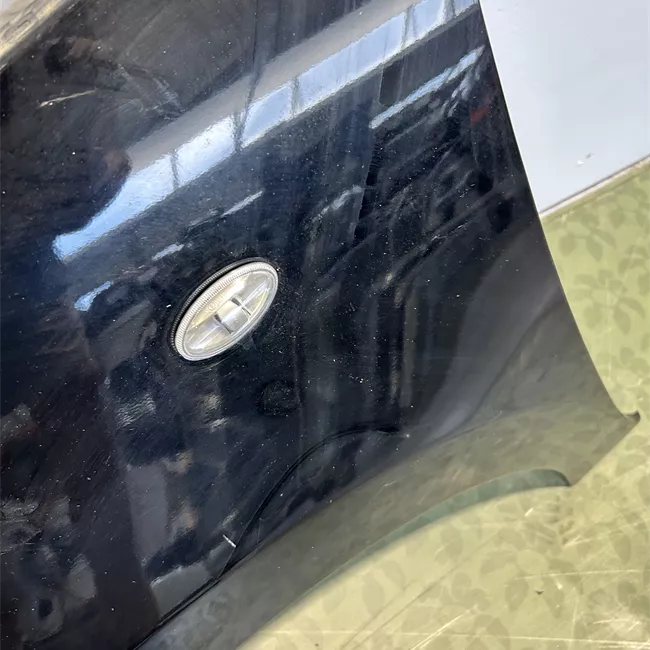 Parafango anteriore sinistro