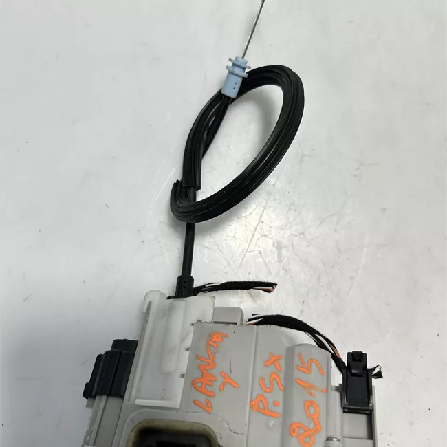 Serratura porta posteriore sinistra