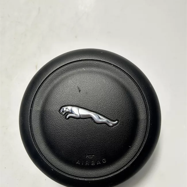 Dispositivo airbag lato guida sedile NAS