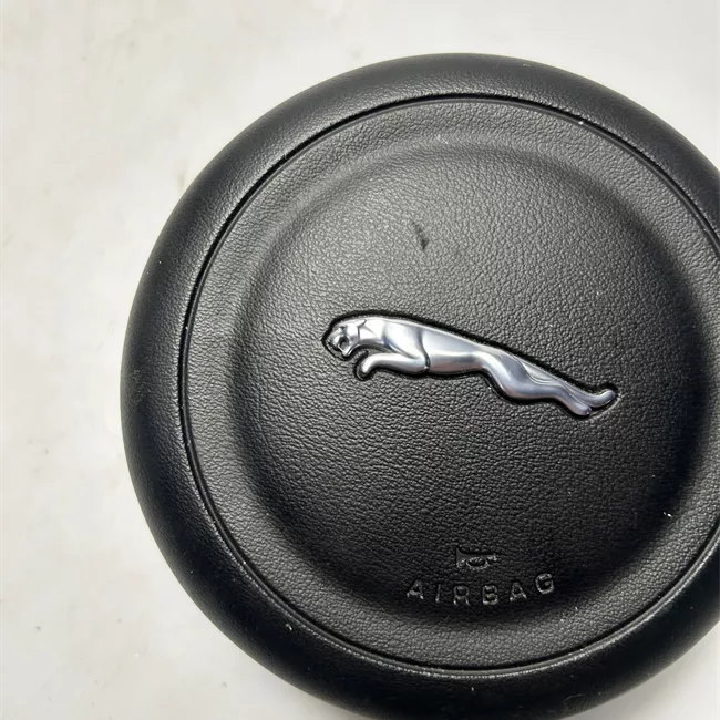 Dispositivo airbag lato guida sedile NAS