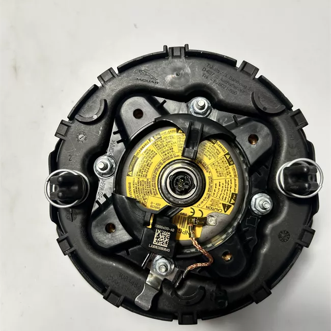 Dispositivo airbag lato guida sedile NAS