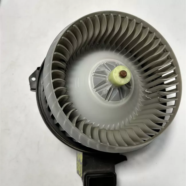 Motorino ventilazione abitacolo