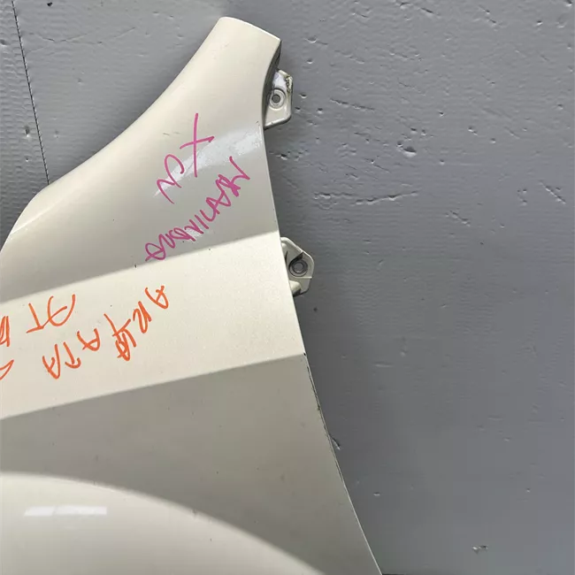 Parafango anteriore sinistro