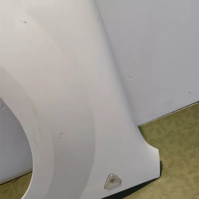 Parafango anteriore sinistro