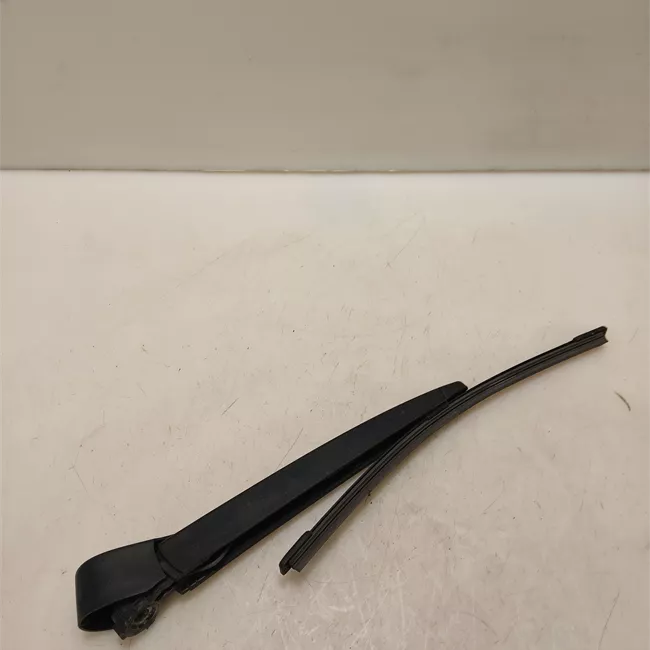 Braccio tergilunotto