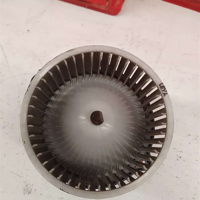 Motorino ventilazione abitacolo