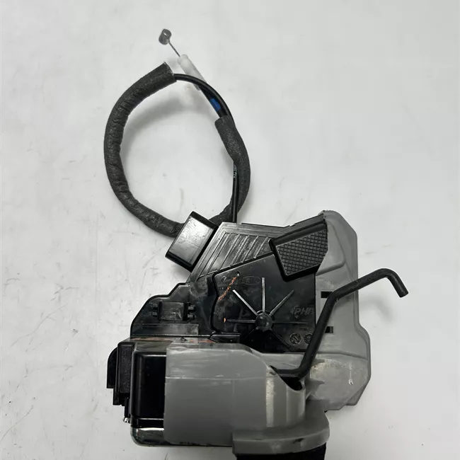 Serratura porta posteriore sinistra