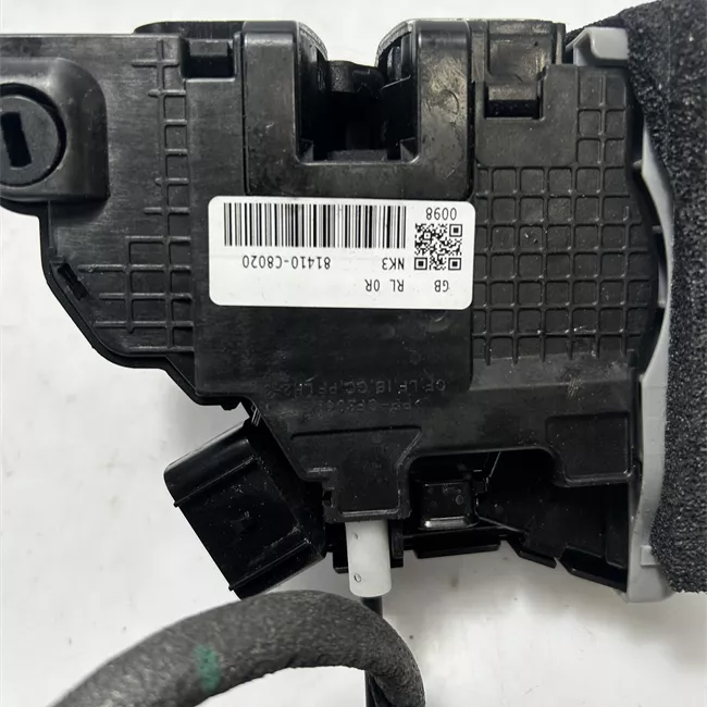 Serratura porta posteriore sinistra