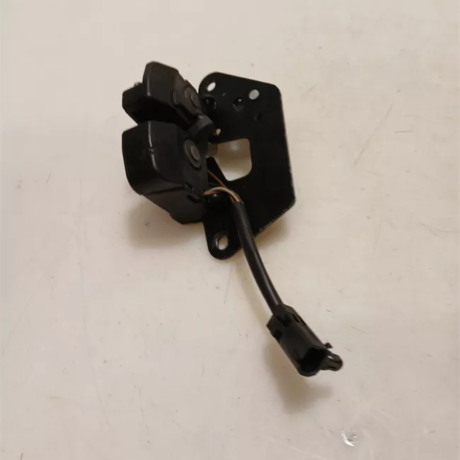 Serratura portello posteriore