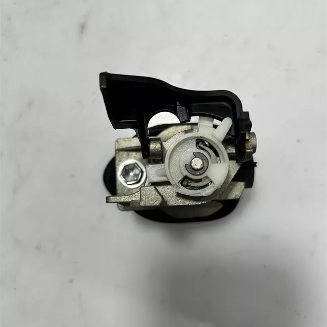 Maniglia portello posteriore