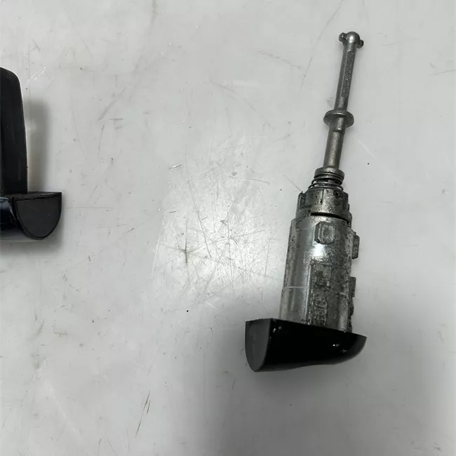 Maniglia porta anteriore sinistra primer