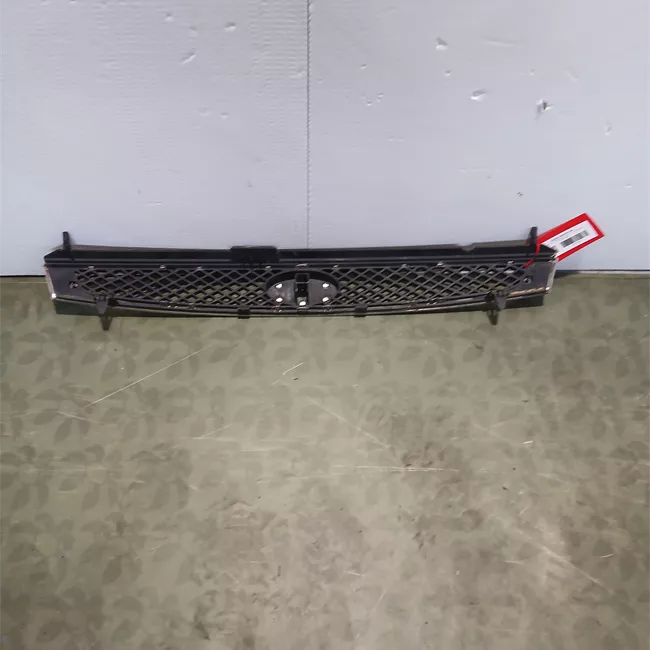 Griglia paraurti anteriore