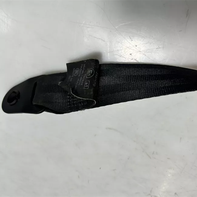 Cintura di sicurezza anteriore sinistra nero