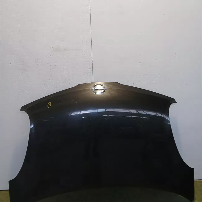 Cofano anteriore