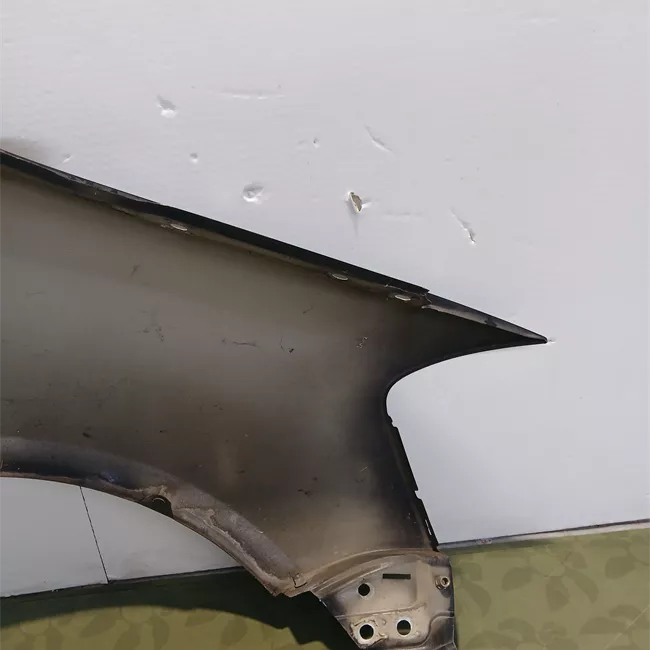 Parafango anteriore sinistro