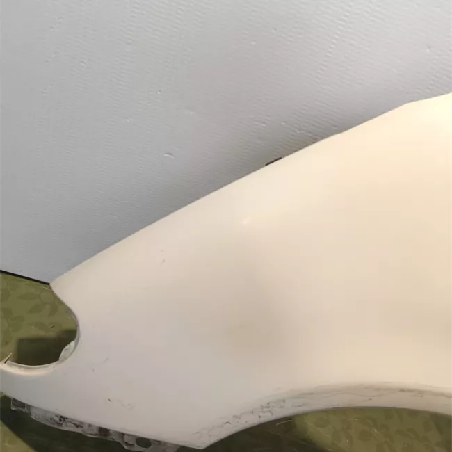 Parafango anteriore sinistro