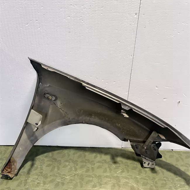 Parafango anteriore sinistro