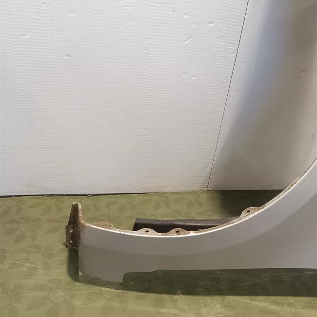 Parafango anteriore sinistro