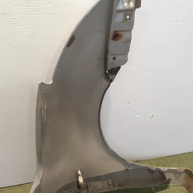 Parafango anteriore sinistro