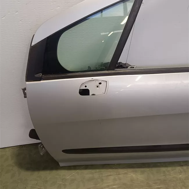 Porta anteriore sinistra