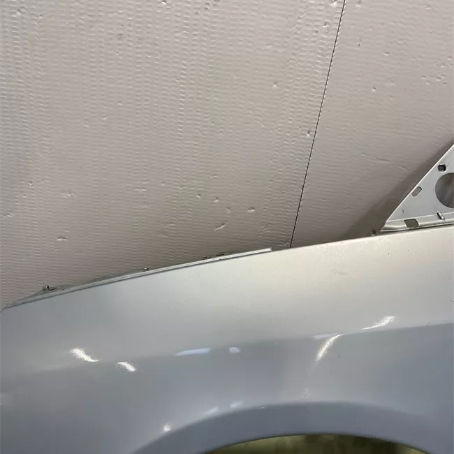 Parafango anteriore sinistro