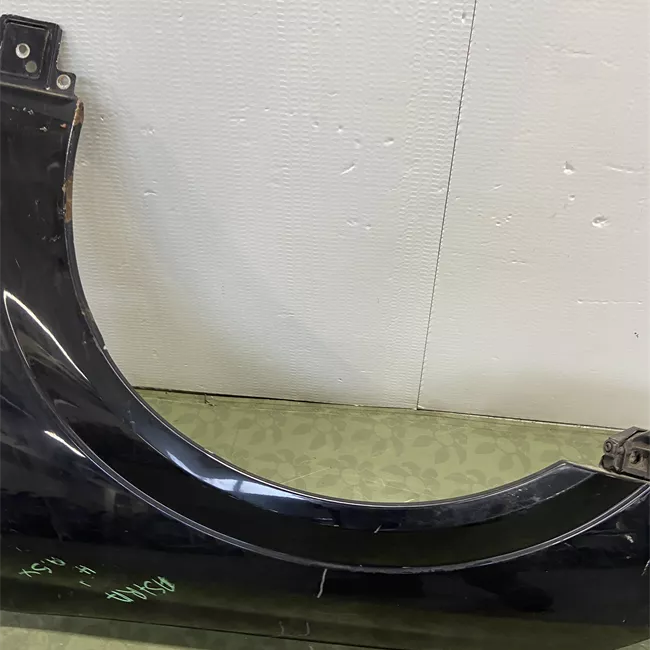 Parafango anteriore sinistro