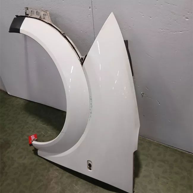 Parafango anteriore sinistro primer