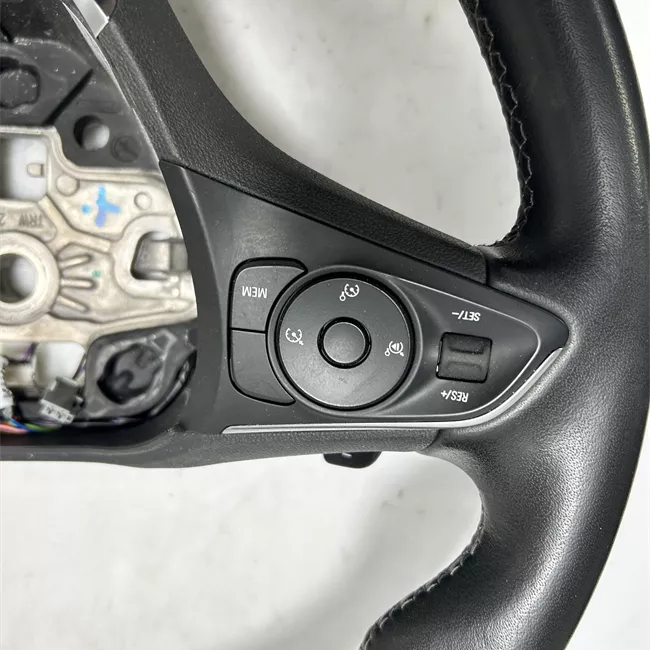 Volante Pelle/cruise control adattivo