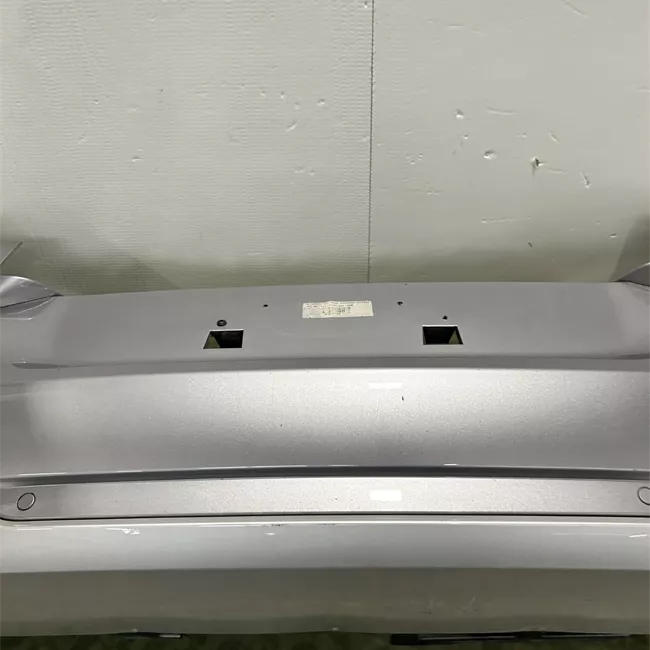 Paraurti posteriore centrale