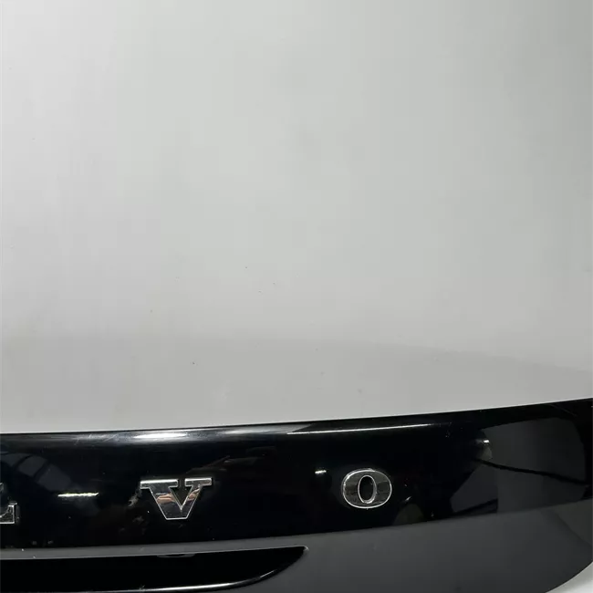 Maniglia portello posteriore telecamera