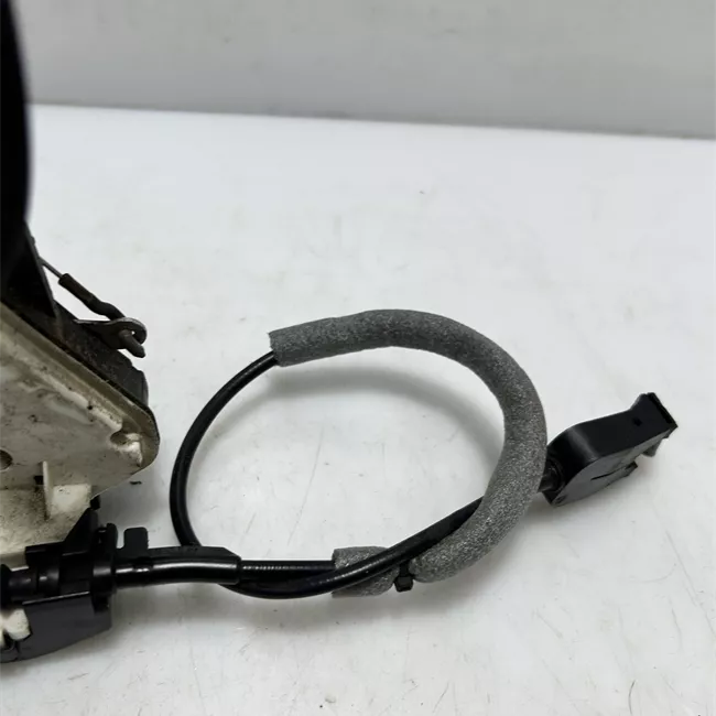 Serratura porta posteriore sinistra con dispositivo sicurezza Safe