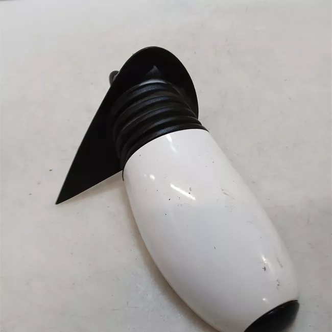 Retrovisore esterno destro Finiture Est Verniciate