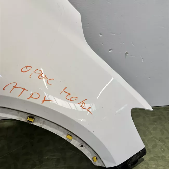 Parafango anteriore destro