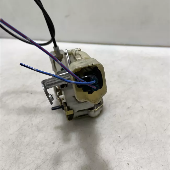 Serratura porta posteriore sinistra 06-04<