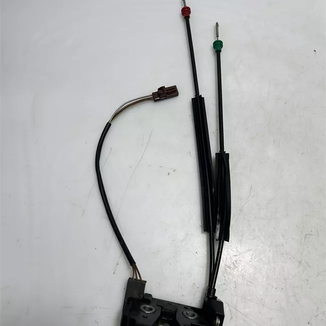 Serratura portello posteriore con sgancio