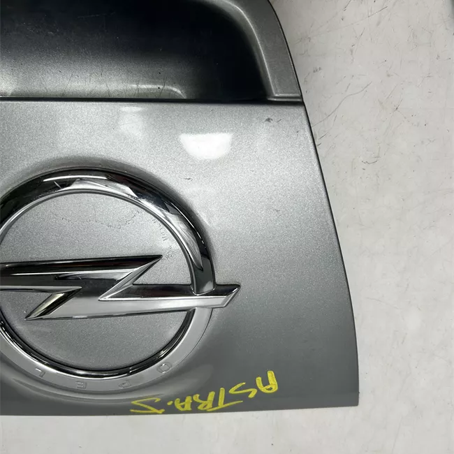 Maniglia portello posteriore primer