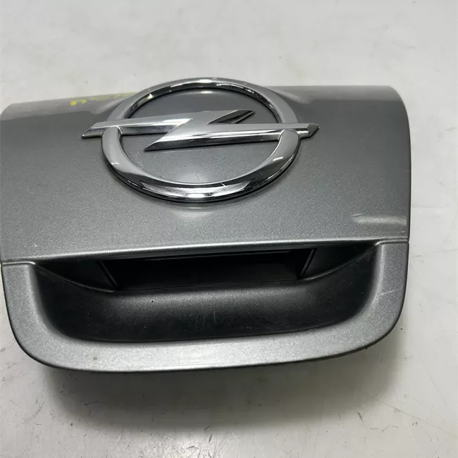 Maniglia portello posteriore primer